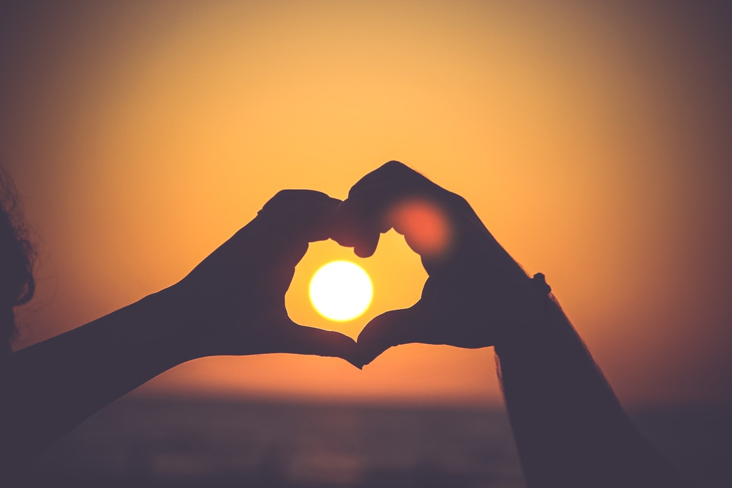 How You Can Be Part of the Solution